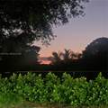 9188 Atlantic Blvd - Photo 39