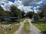635 Fronda - Photo 16
