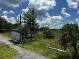 635 Fronda - Photo 17