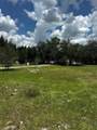 635 Fronda - Photo 21
