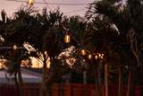 1625 Fletcher St - Photo 19