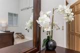 302 Balboa St - Photo 23