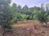  24350 SW 182 AVE - Photo 28