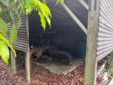  24350 SW 182 AVE - Photo 9
