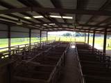 315 Detjens Dairy Rd - Photo 3