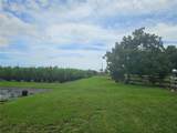 172 AVE 228 ST - Photo 3