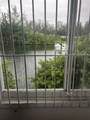 1693 97th Ave - Photo 8