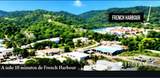  Crawfish Rock Rd & Palmito Bay - Photo 12