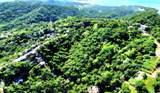  Crawfish Rock Rd & Palmito Bay - Photo 13
