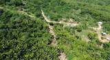  Crawfish Rock Rd & Palmito Bay - Photo 15