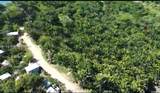  Crawfish Rock Rd & Palmito Bay - Photo 17