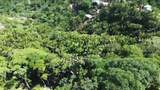  Crawfish Rock Rd & Palmito Bay - Photo 19