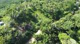  Crawfish Rock Rd & Palmito Bay - Photo 20