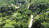  Crawfish Rock Rd & Palmito Bay - Photo 25