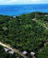  Crawfish Rock Rd & Palmito Bay - Photo 7