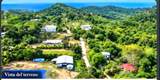 Crawfish Rock Rd & Palmito Bay - Photo 9