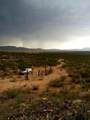  Van Horn Hudspeth - Photo 12
