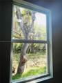 1225 March Ln - Photo 48