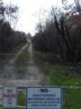 404XX 157 Ave - Photo 9