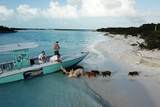 DOCTORS CREEK Jposiah Tantails, Long Island Bahamas - Photo 22