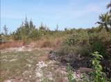 DOCTORS CREEK Jposiah Tantails, Long Island Bahamas - Photo 5