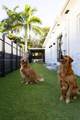 761 77th St - Photo 30