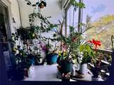 500 14th Ave - Photo 4