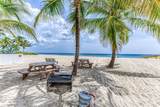 3261 Oleander Way - Photo 53