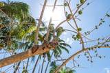 14862 170th Ter - Photo 27