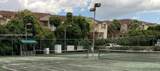 8977 123rd Ct - Photo 8