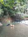 25 B Vereda La Higinia, Santa Fe De Antioquia, Colombia - Photo 37