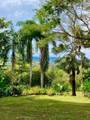25 B Vereda La Higinia, Santa Fe De Antioquia, Colombia - Photo 48