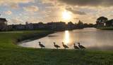 21 Saxony A - Photo 24