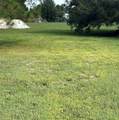 357 Horse Club - Photo 16