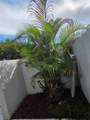 8000 152nd Ave - Photo 4