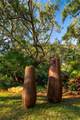 5390 Banyan Dr - Photo 51