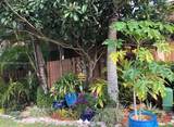 4222 87th Ter - Photo 4