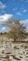 16525 260 St - Photo 3