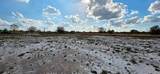 16525 260 St - Photo 6