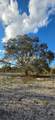 18678 284 St - Photo 12