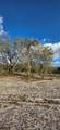 18678 284 St - Photo 13