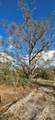 18678 284 St - Photo 16