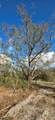 18678 284 St - Photo 2