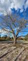 18678 284 St - Photo 8
