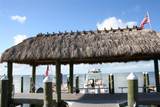 87200 Overseas Hwy - Photo 54