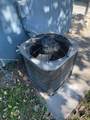 2216 15th Ave - Photo 11