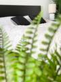 19201 Collins Ave - Photo 8