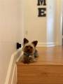 909 42nd Ave - Photo 16