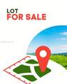  14245 Pilotfish Ct - Photo 1