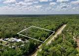 0 Gator Trl - Photo 2